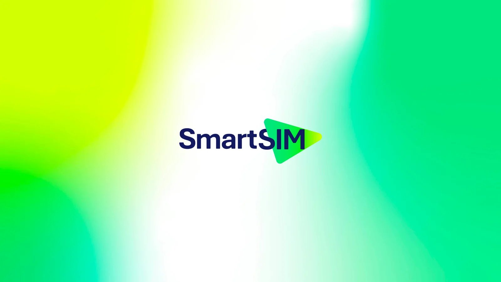 SmartSim 1
